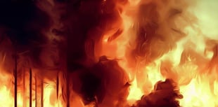 'Everyone is complicit on climate, and we all have right to protest' 