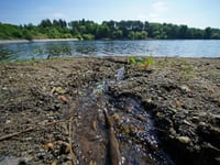 More than 1,000 sewage overflows in the Forest of Dean last year