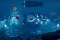 DEEP water exploration will bring 100 jobs to Wye Valley