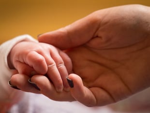 More than 150 households in the Forest of Dean in kinship care arrangements