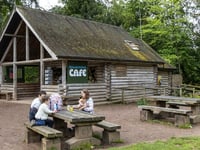 Forestry England advertises business opportunities at tourist hotspots
