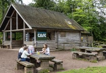 Forestry England advertises business opportunities at tourist hotspots