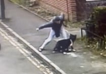 Newent man filmed beating his dog is banned from keeping animals