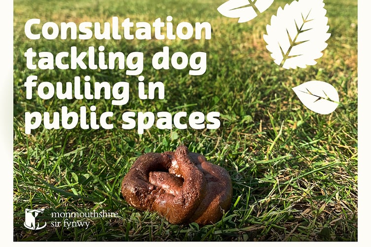 MCC Dog Fouling Awareness Day