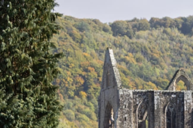 Tintern Abbey FC are through to the final of the Fishwick Cup