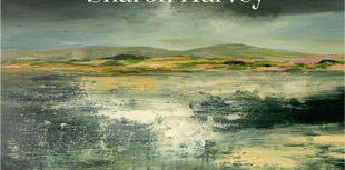 'River to Forest' exhibition explores natural beauty of Severn Estuary