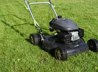 Forest of Dean District Council committed to No Mow May 