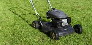 Forest of Dean District Council committed to No Mow May 