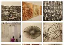 Local artists bring Forest-inspired exhibition 'Time Lapse' to Newnham