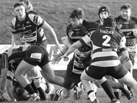 Cinderford drop to 11th in National One after defeat to Sedgley 