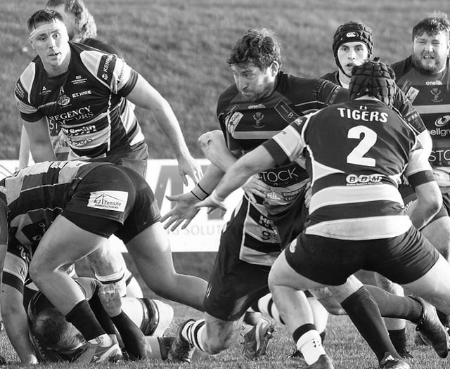 Cinderford drop to 11th in National One after defeat to Sedgley 