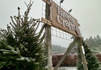 Christmas crafts, trees and markets at Taurus' winter wonderland