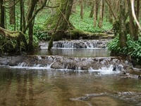 Council considers harnessing power of streams to generate electricity