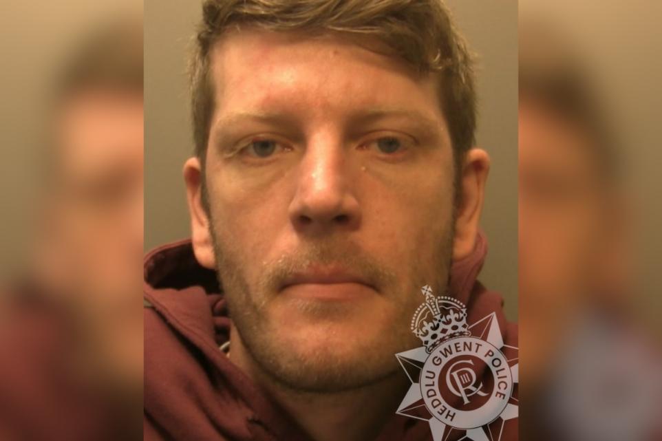 Monmouthshire paedophile jailed for over two years