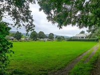 Have your say on Monmouth town field biodiversity scheme