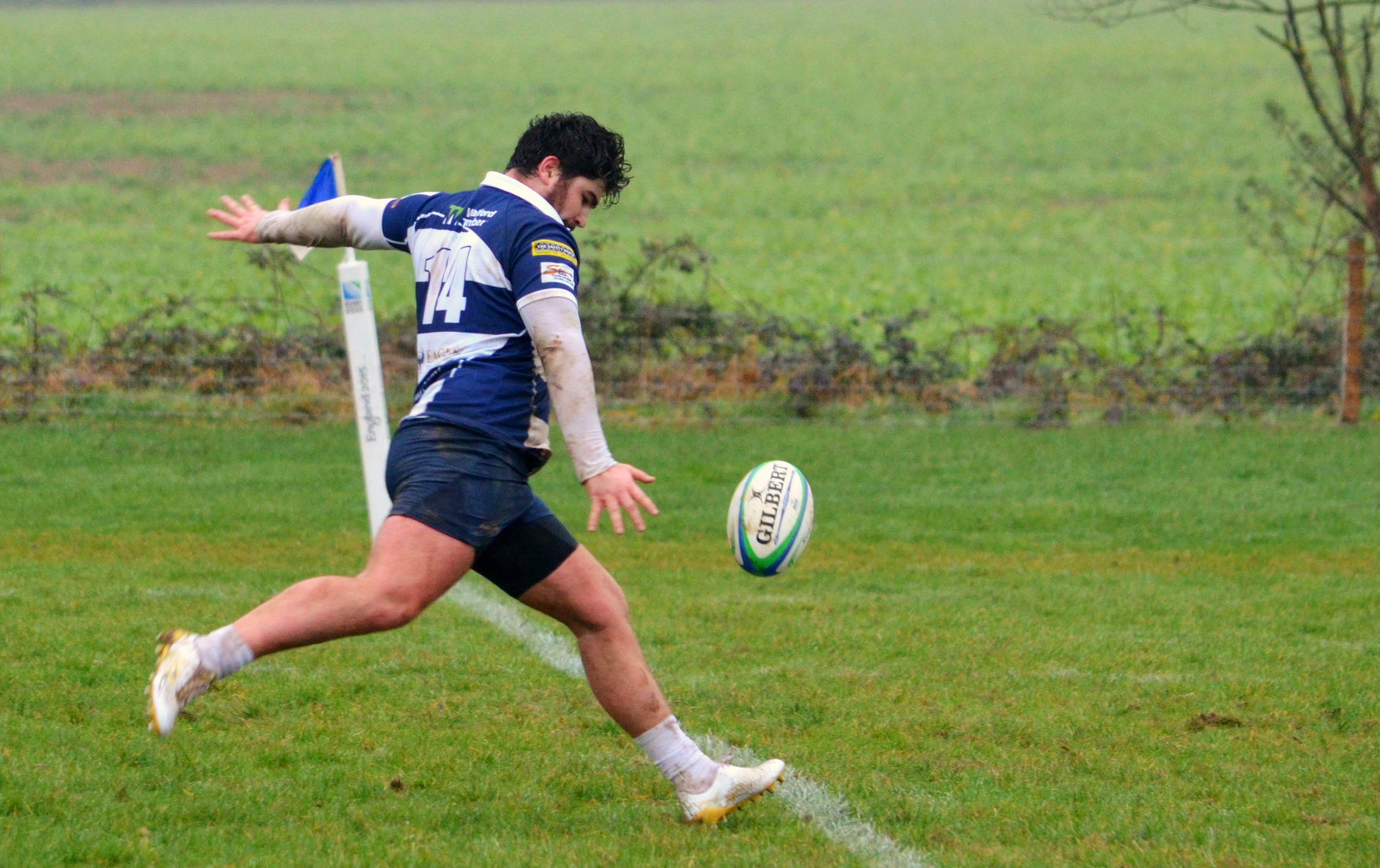 Ross battle, but Star shine