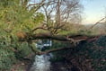 Fallen tree blocks Monmouth rural lane