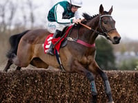 Wye Valley trainer's big hopes for Cheltenham Festival 