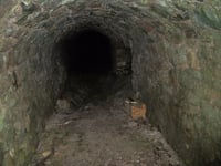 Monmouthshire man says he has found entrance to secret tunnel network