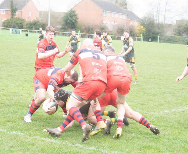Teen Harry makes assured debut for Newent