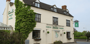 Seventeen homes bid for former Forest pub land