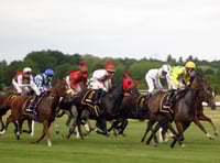 Hartpury study gives insight into lives of ex-racehorses