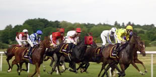Hartpury study gives insight into lives of ex-racehorses