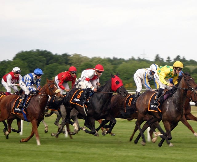 Hartpury study gives insight into lives of ex-racehorses