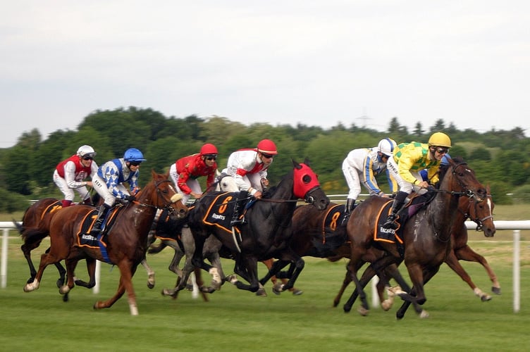 The first census of retired racehorses has been carried out by Hartpury University.