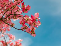 The weekly weather for your area