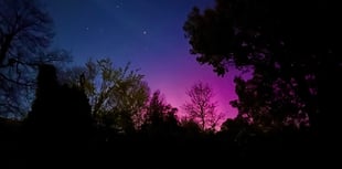 Foresters spot Aurora