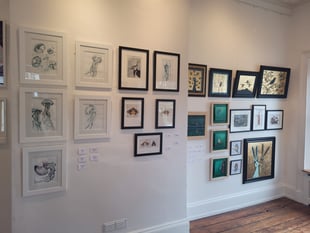 All creatures tiny to tall feature in Newnham art exhibition
