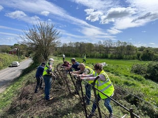 Dymock banks on daffodil restoration project for biodiversity drive

