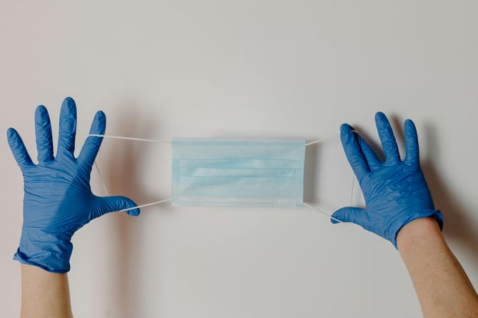 Person Wearing Blue Surgical Gloves Holding a Surgical Mask
