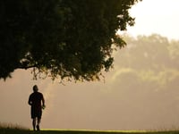 Adults in the Forest of Dean are less active than their neighbours