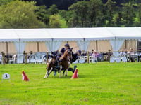 This weekend's line up of events