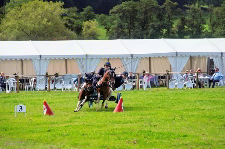 The Monmouthshire Show - 100 days to go