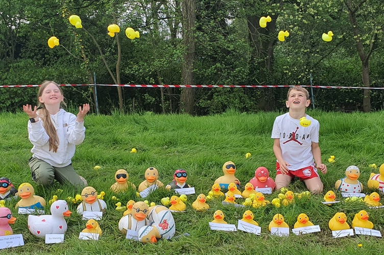 line up of duck