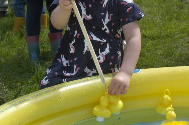        Plastic duck fishing                         