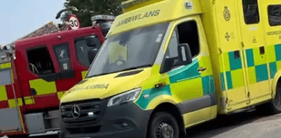  Hero vets race to scene of crash