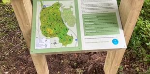 Tree-mendous £99k Lottery boost for woodland group