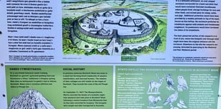 Volunteers set to dig in to woodland history