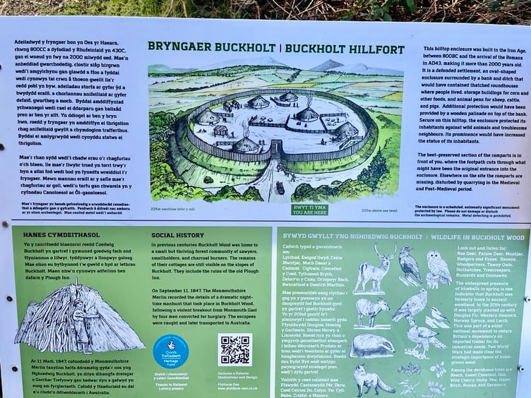 There is an ancient hill fort in Buckholt Wood