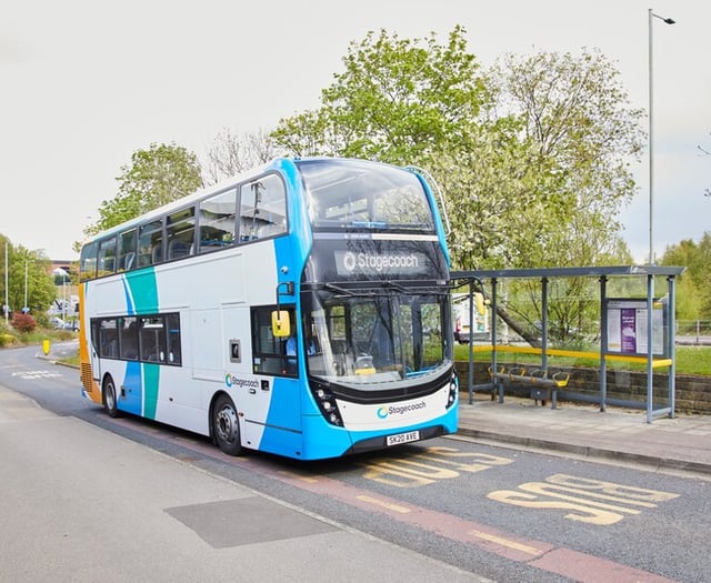 Expert shares how foresters could save some bus money 