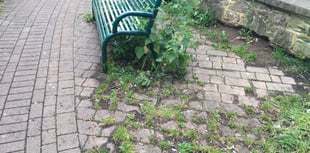 Call for Lydney car park clean up