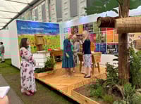 Bees for Development Celebrates World Bee Day