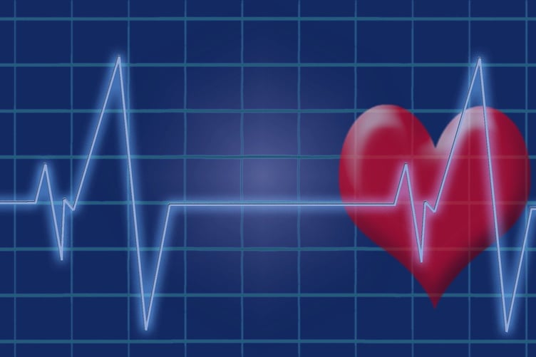 Heart