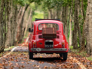 Half of Brits admit to dangerous driving blunders abroad