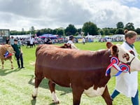 A showcase for the best in rural life