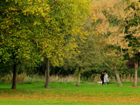 Access to green space in the Forest of Dean higher than South West average